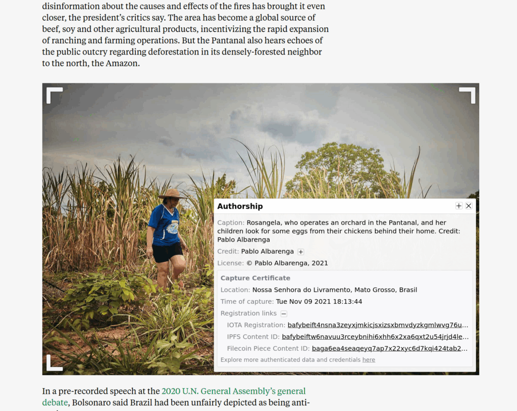 Setting the Record Straight in Brazil’s Burning Wetlands