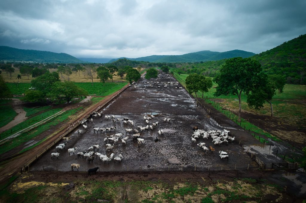 Setting the Record Straight in Brazil’s Burning Wetlands
