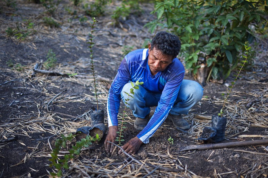 Setting the Record Straight in Brazil’s Burning Wetlands