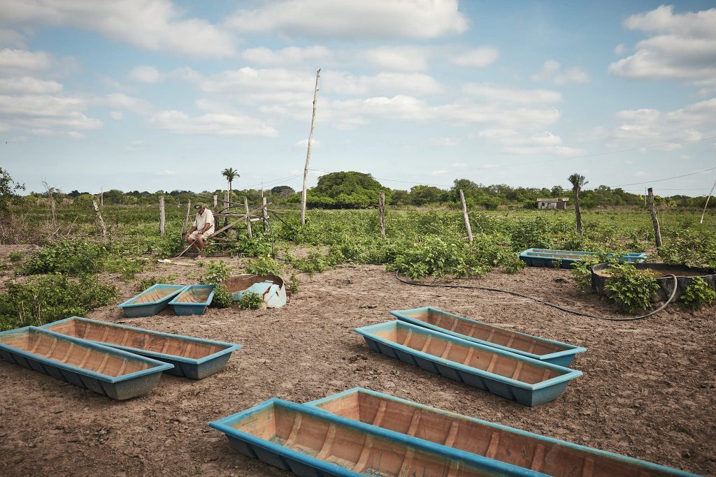 Setting the Record Straight in Brazil’s Burning Wetlands