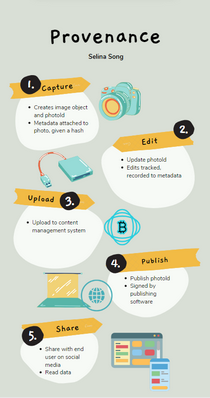 Mapping the Web3 Ecosystem for Educational Curricula
